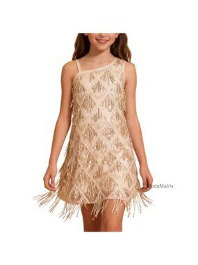 Girls Sequin Fringe Flapper Dress One Shoulder Side Zipper